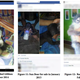 Illustration for article titled Jerks Are Selling Endangered Species on Facebook
